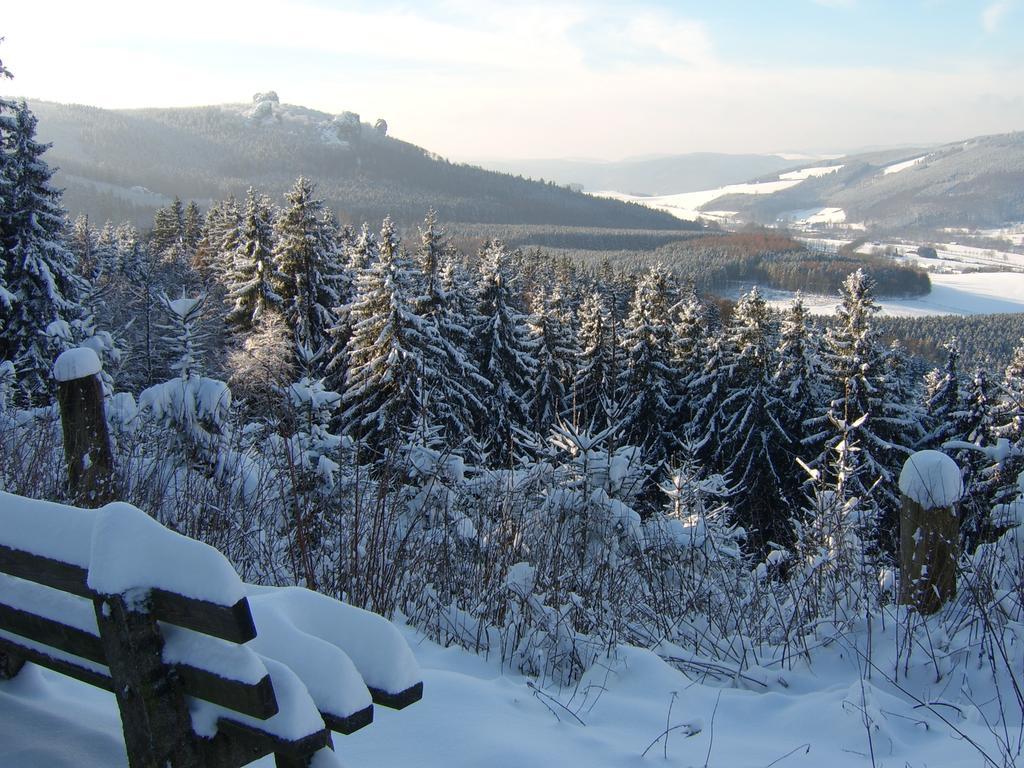 Haus Cristallo Olsberg Dış mekan fotoğraf